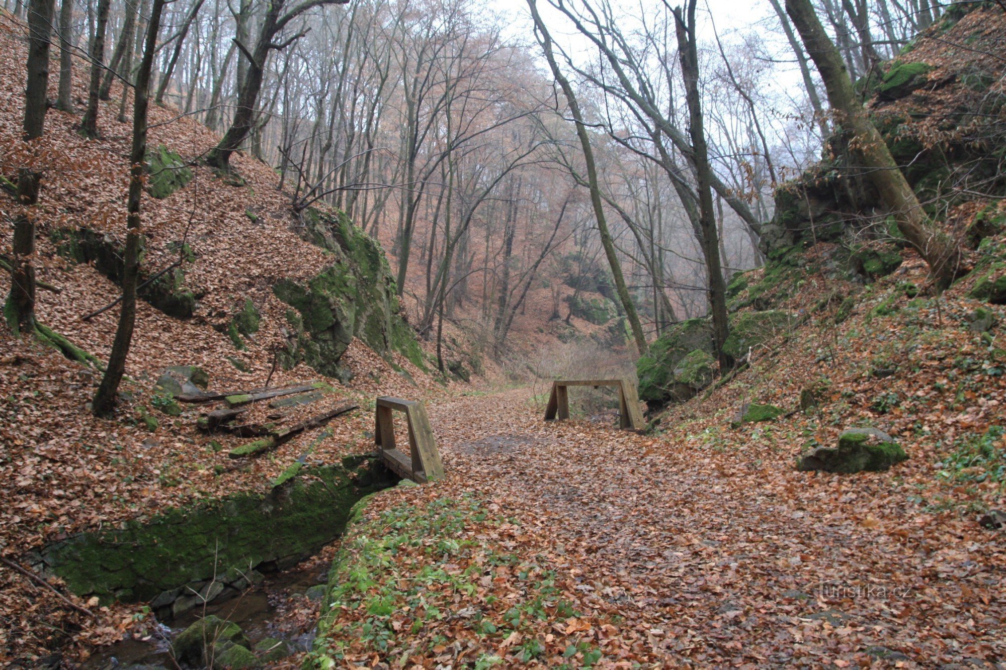 Unul dintre podurile de lemn de pe calea lui Gangloff