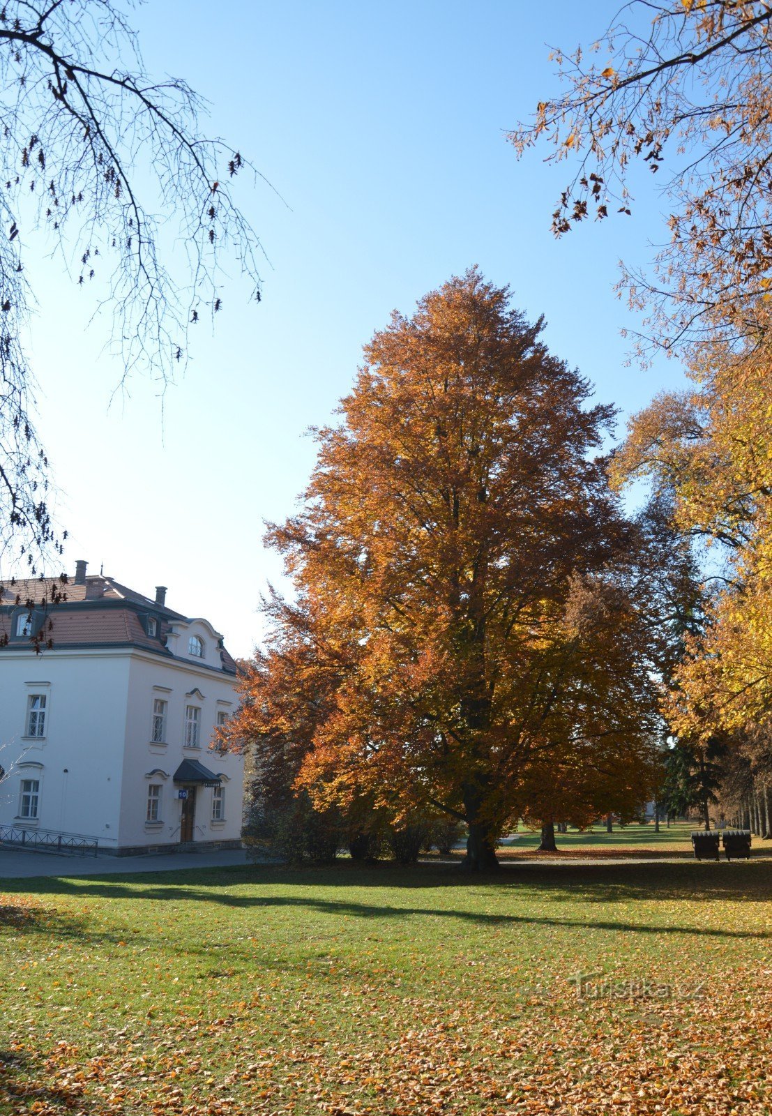 one of the pavilions