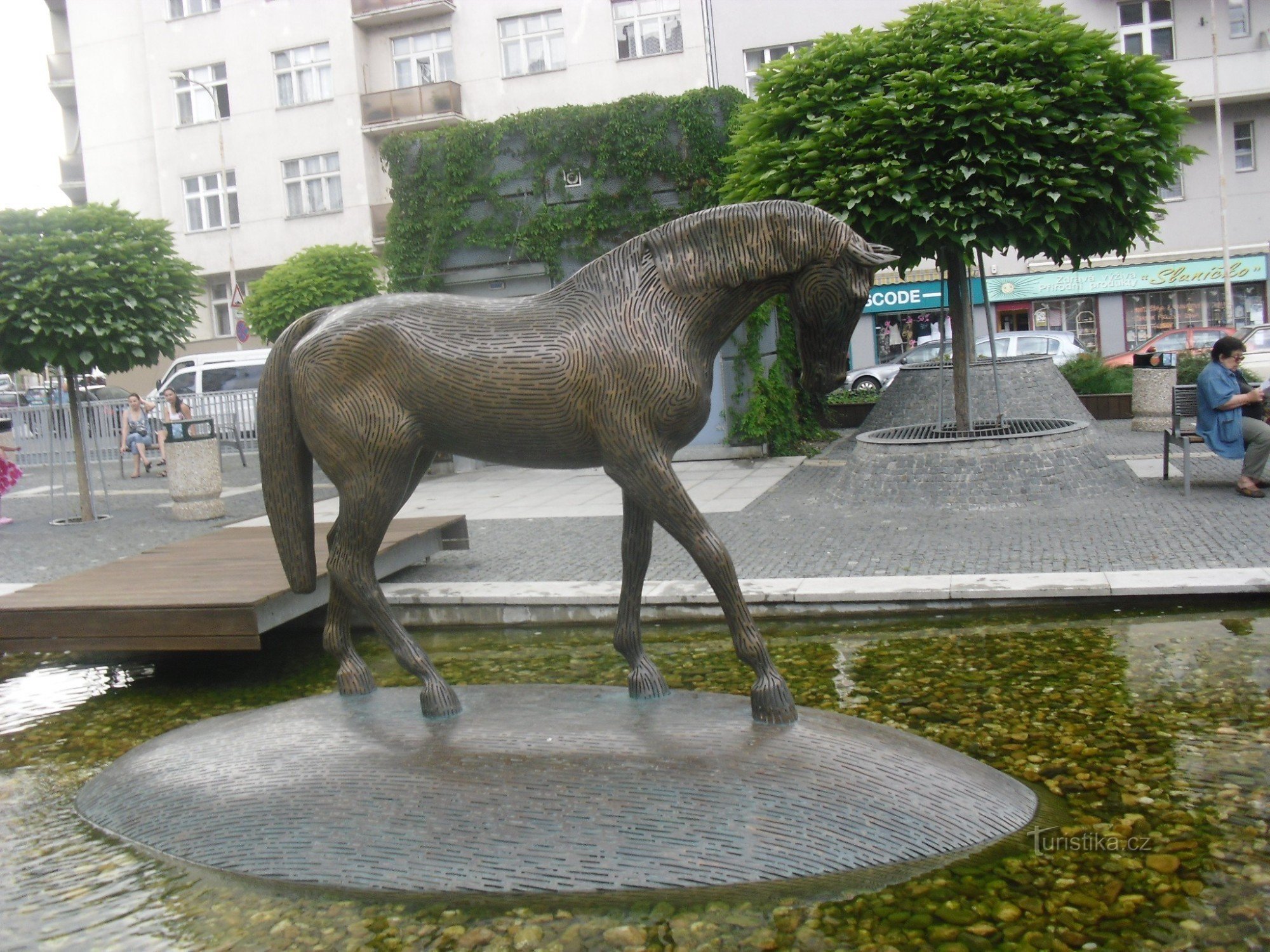 een van de drie paarden - op het eiland