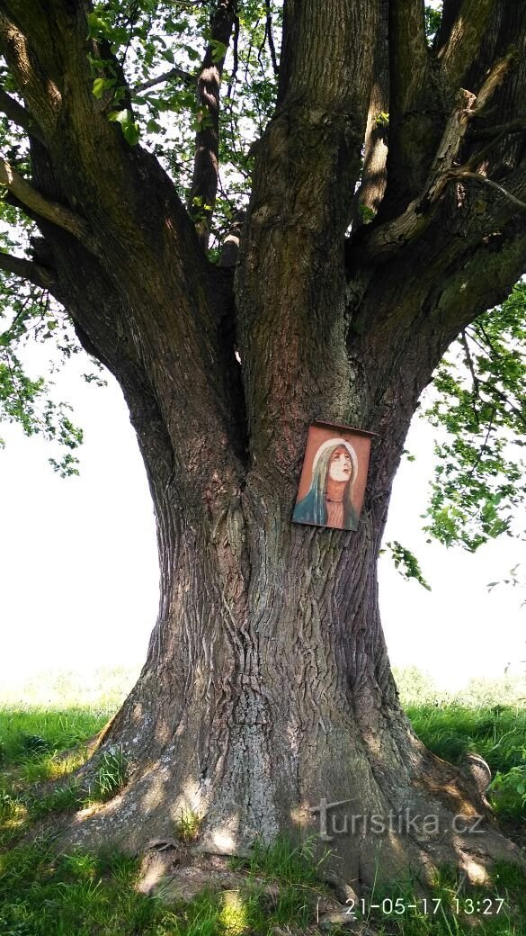 uma das imagens sagradas após a viagem ao Kosovo