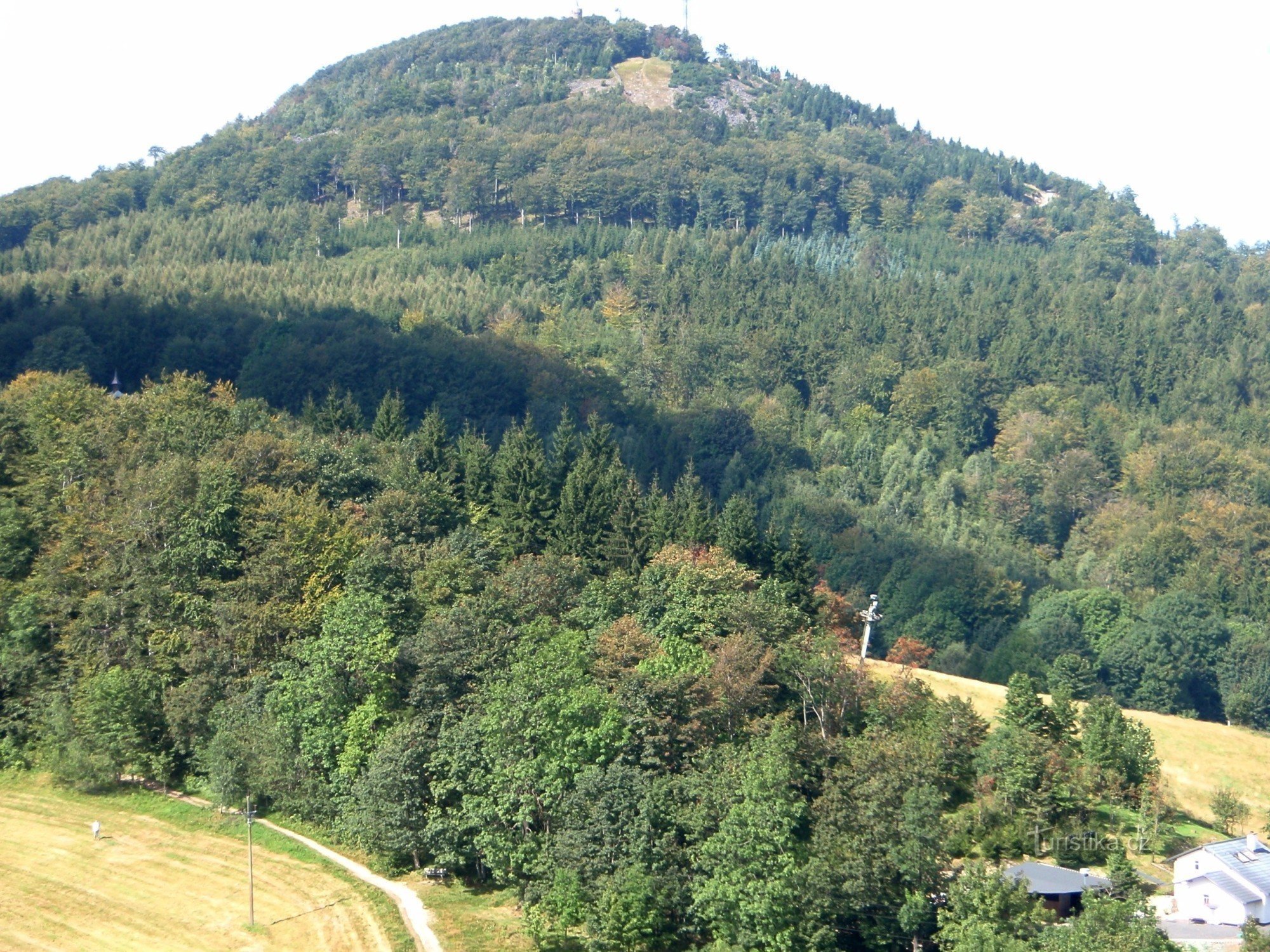 montaña de abeto