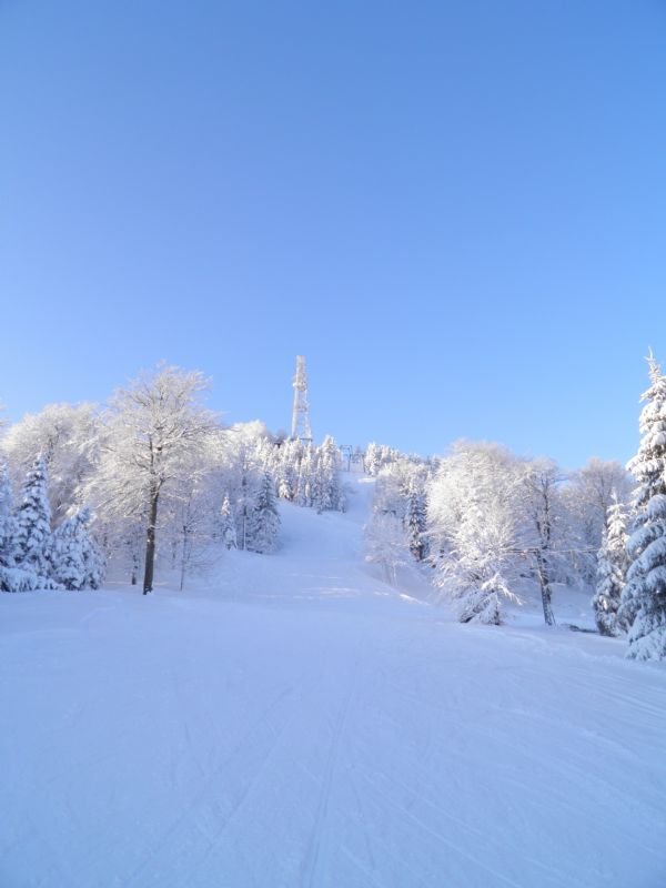 Syötävä rinne