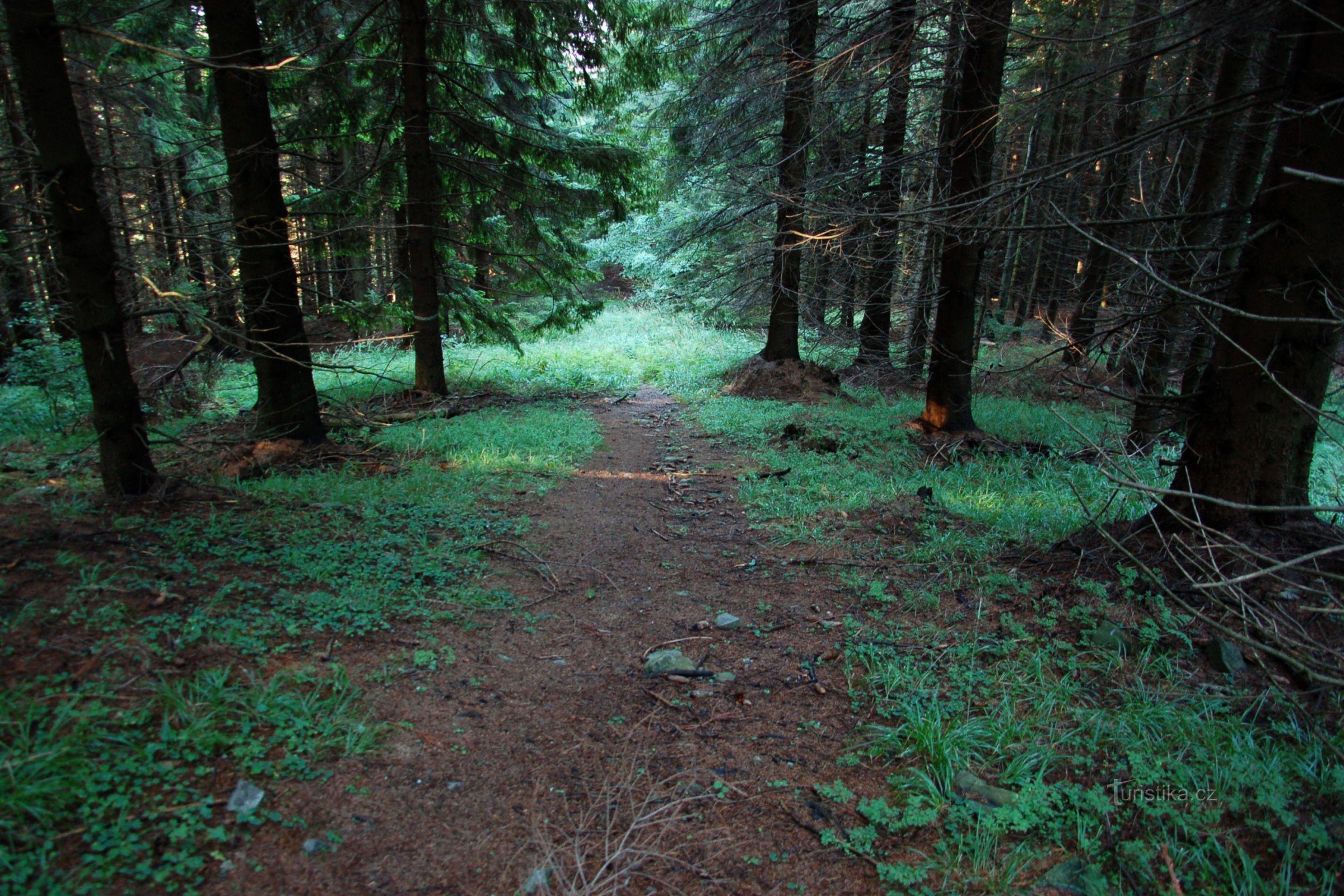 eine der Routen von Čupla