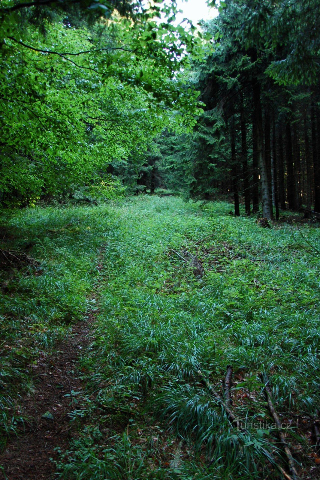 eine der Routen von Čupla