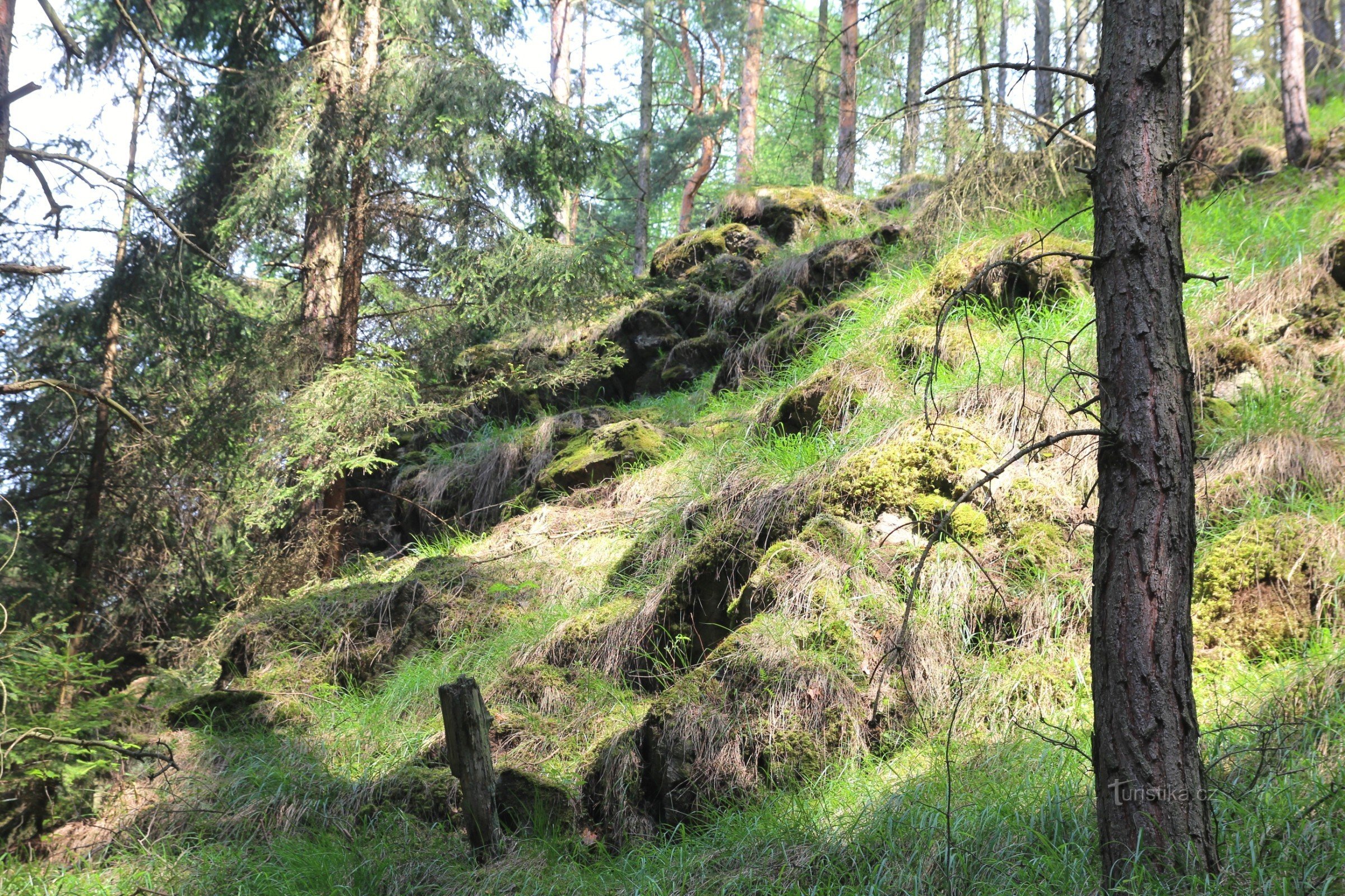 Einer der Schlangenfelsen