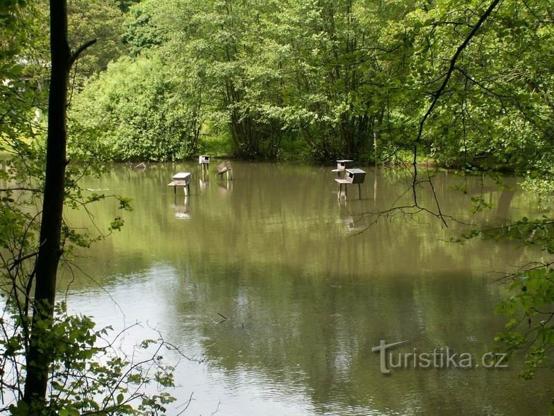 Одна з водойм Маріанської долини