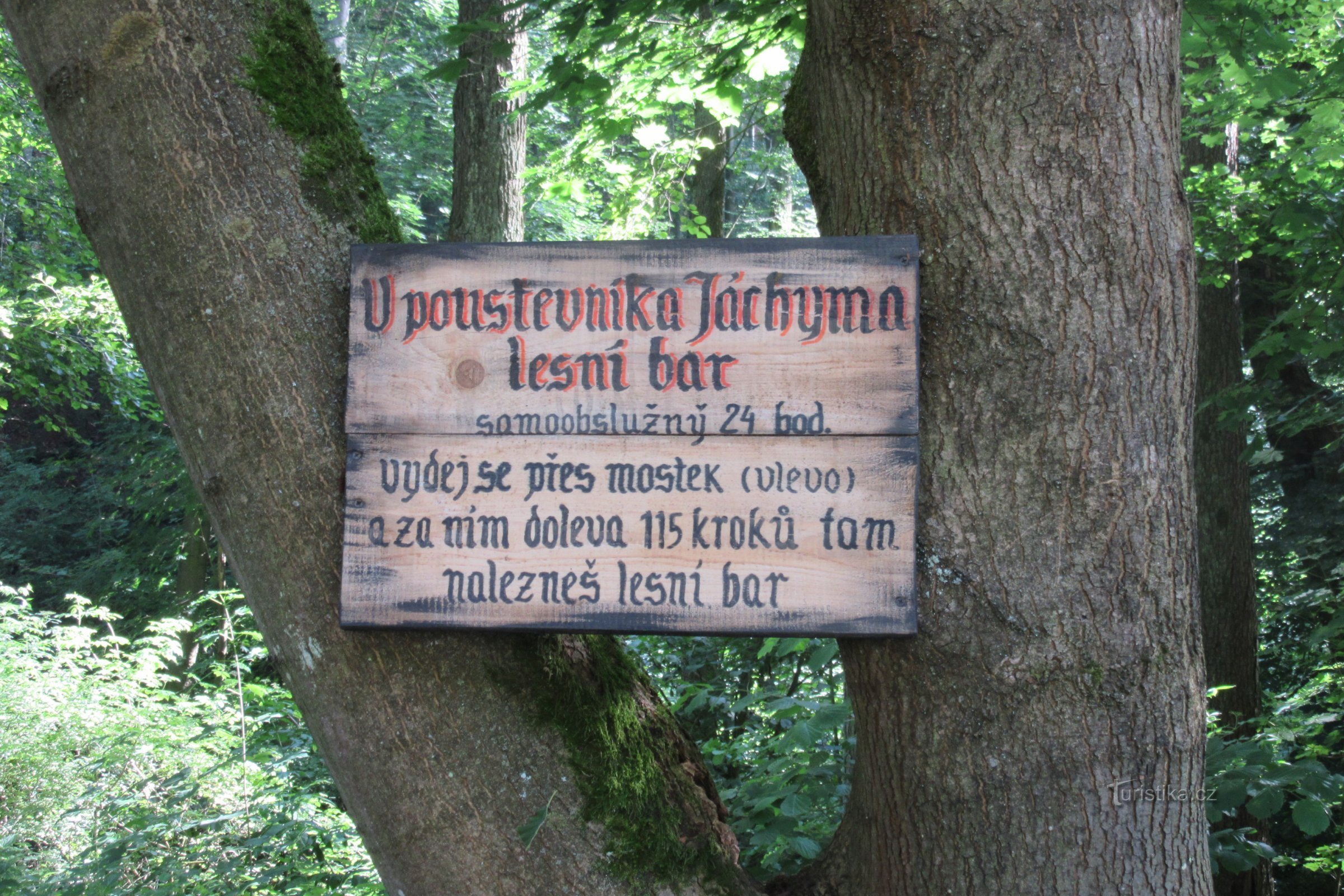 Jedna z upoutávek na lesní bar v okolí
