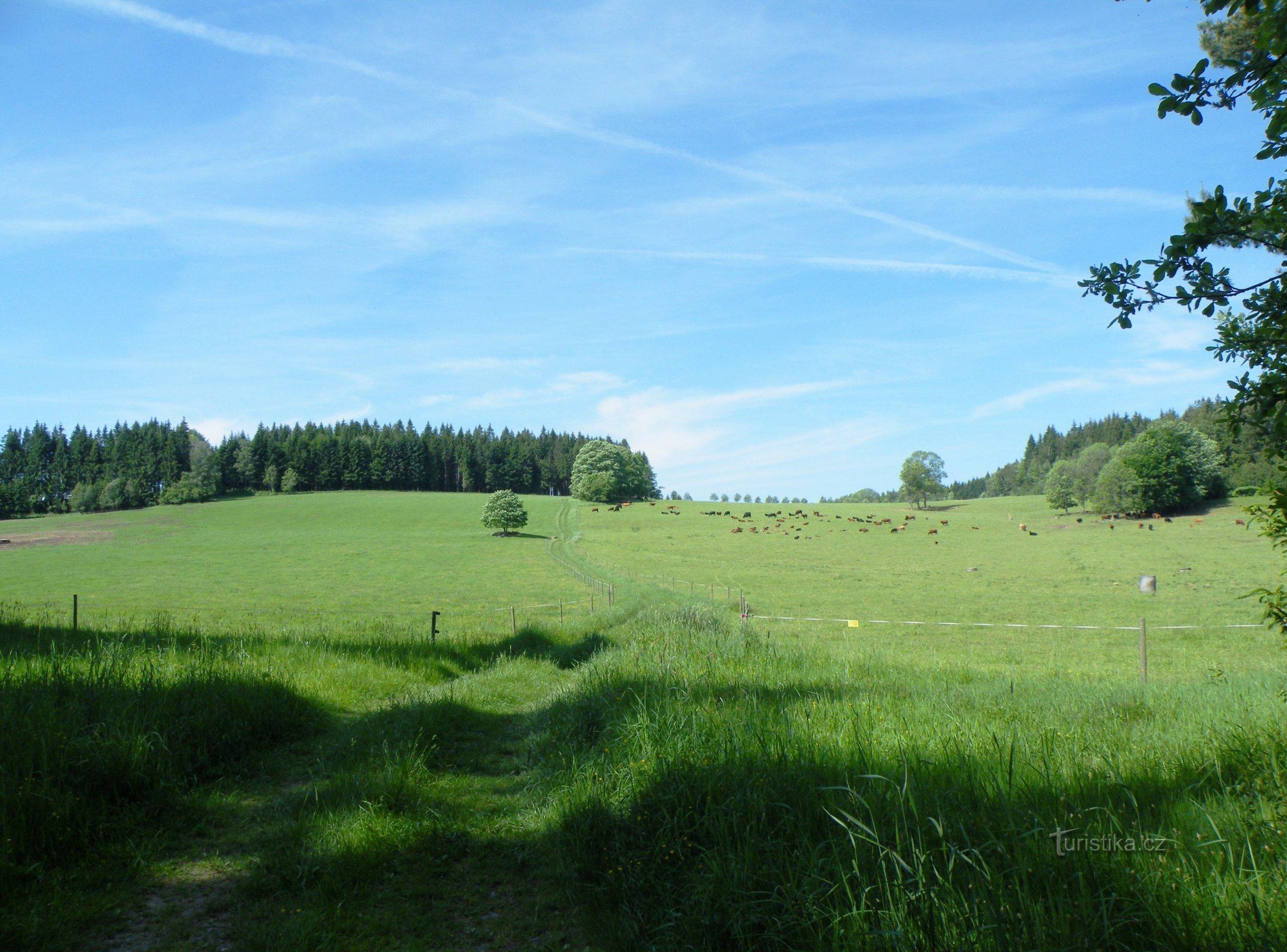 Enheder under Jelení vrch