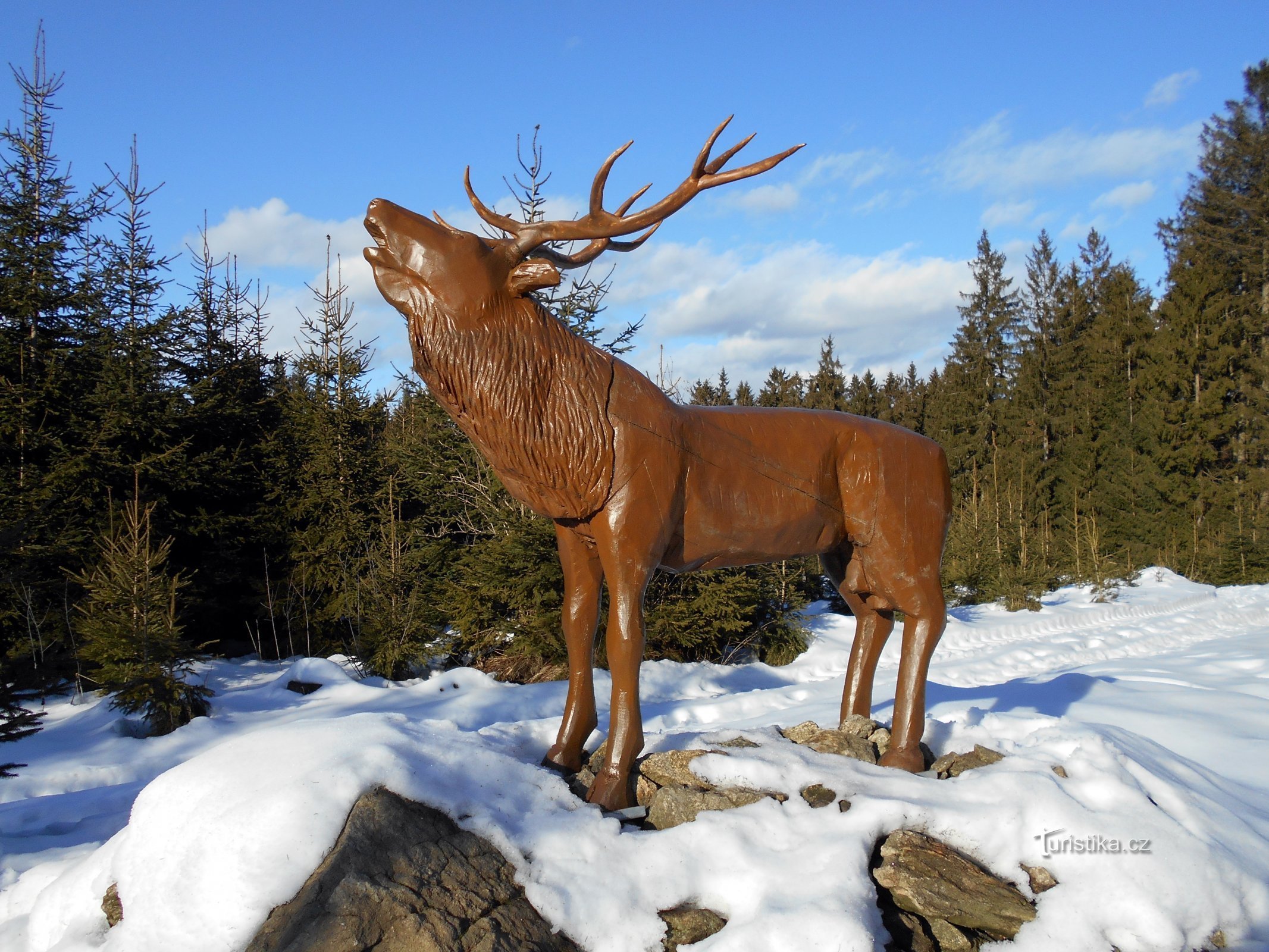 Cerf sur Jelení hora