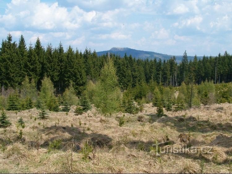 Jelení hora: Pogled iz Mezilesíja.