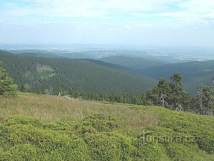 Jelení hřbet