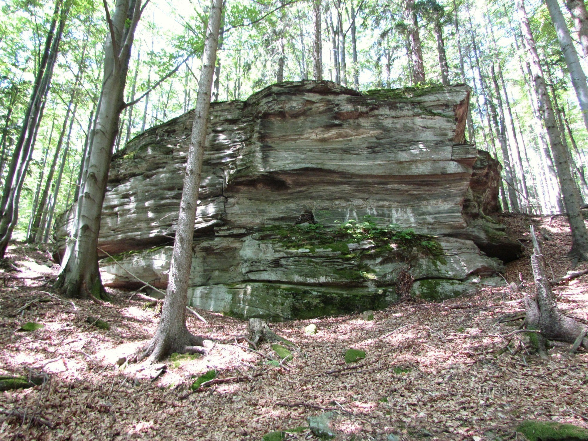 Jelenie kameny - Modenschau der Felsen