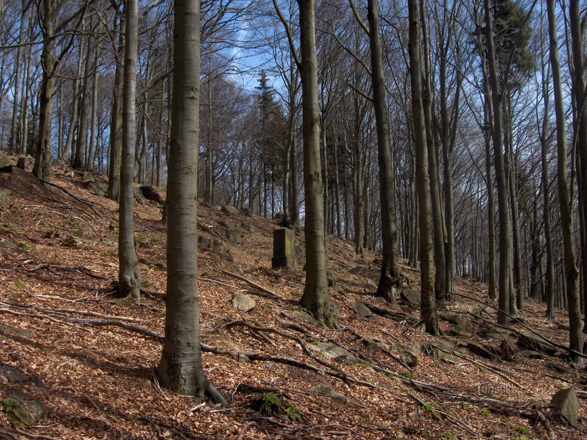 Deer monument