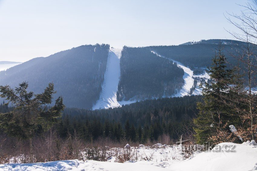 Skalniak Jelenia ze zboczami