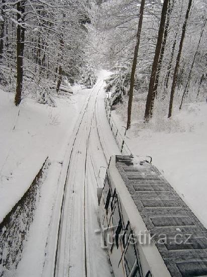 Deer Leap 1: Metalowa rzeźba kozicy z 1851 roku autorstwa berlińskiego so