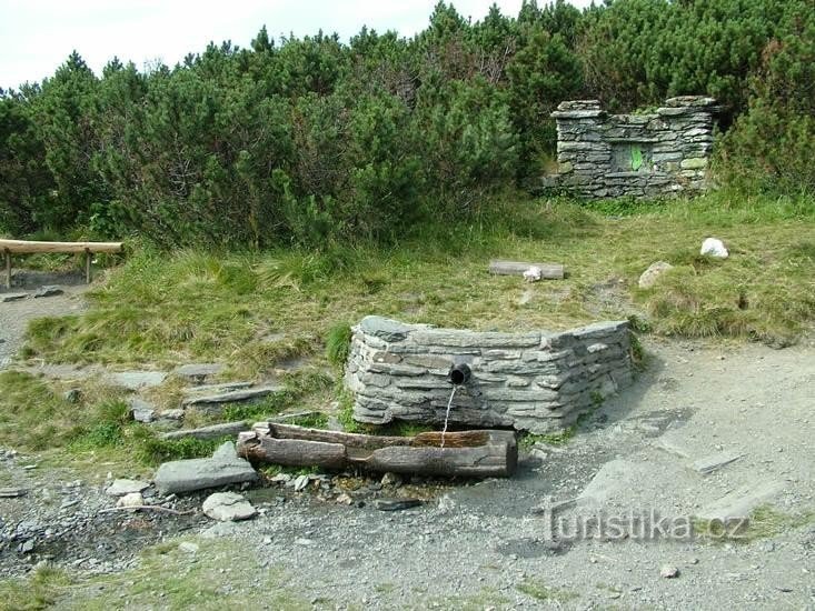 Jelení studánka