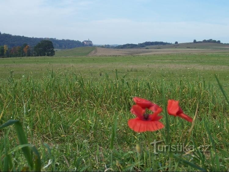 Jelenice: Kilátás a hegyre