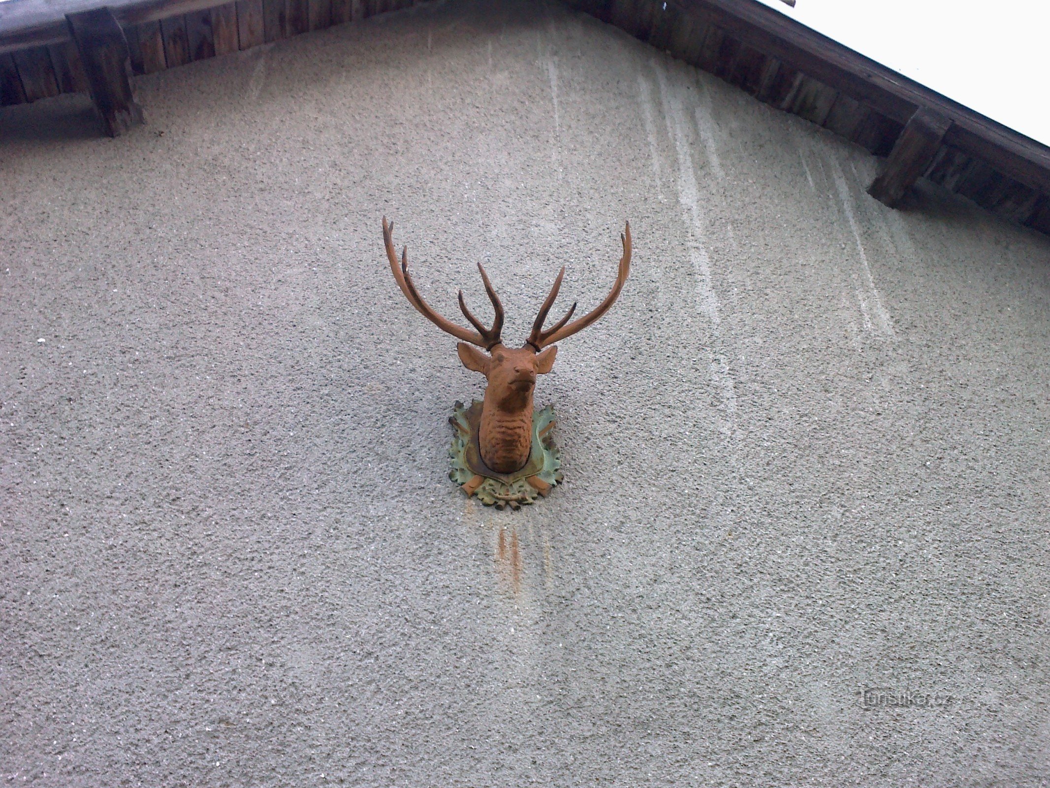 La tête de cerf nous souhaite la bienvenue