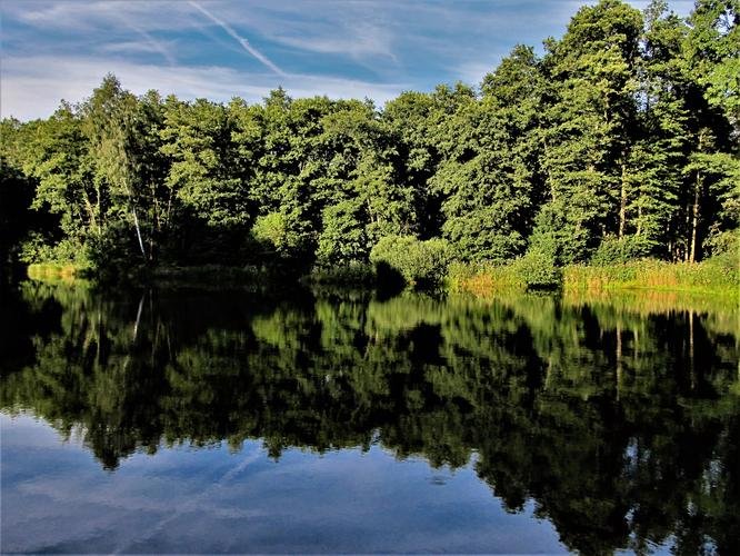 Jenišovský pond