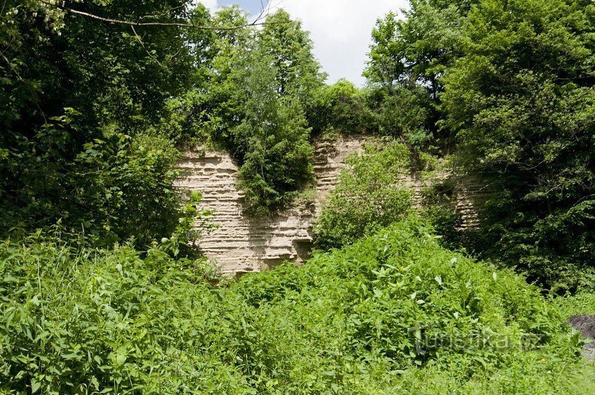 Jerlochovice walls