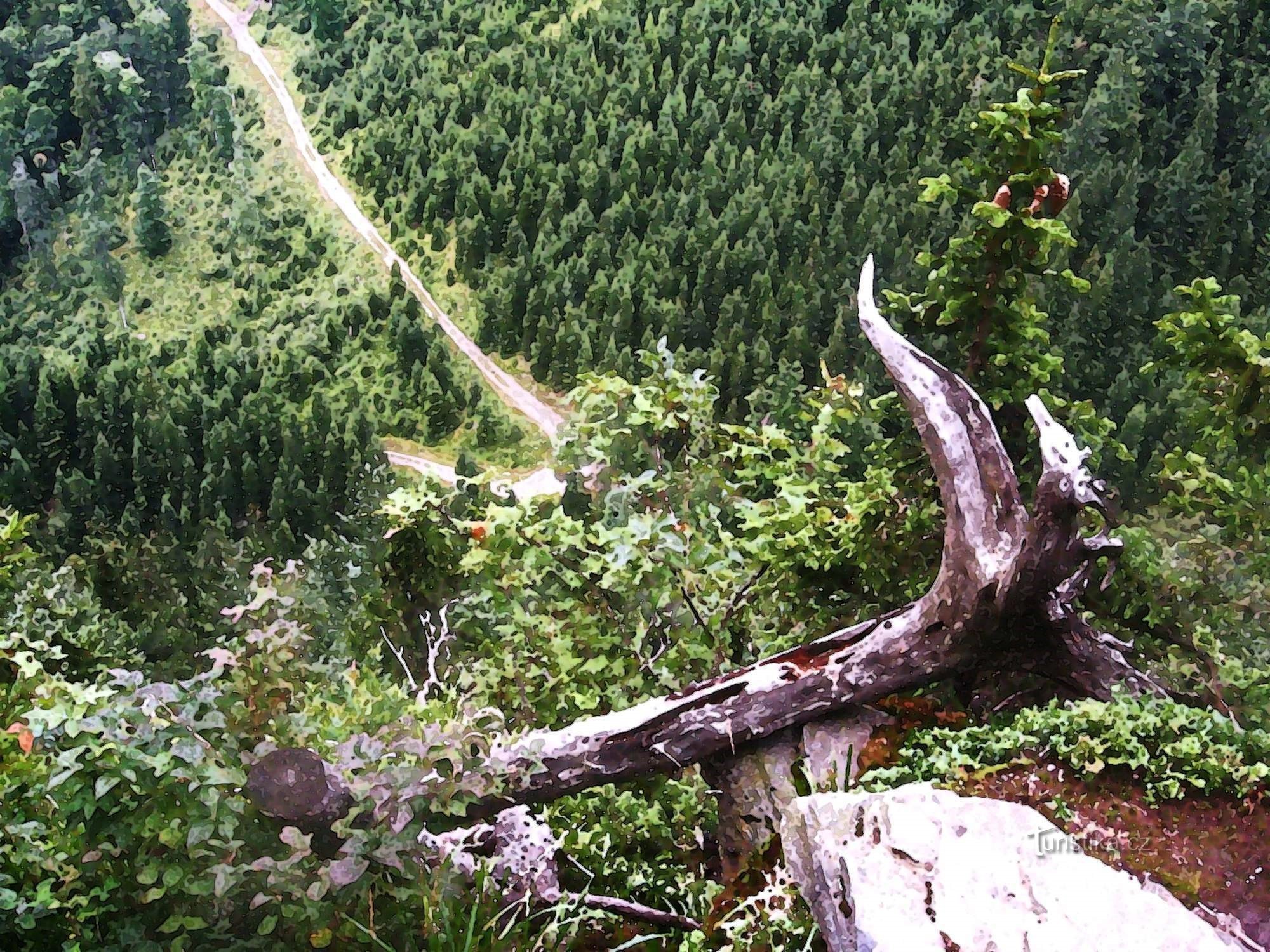 Punti di vista rupestri di Jesenice - 3. Il muro del diavolo