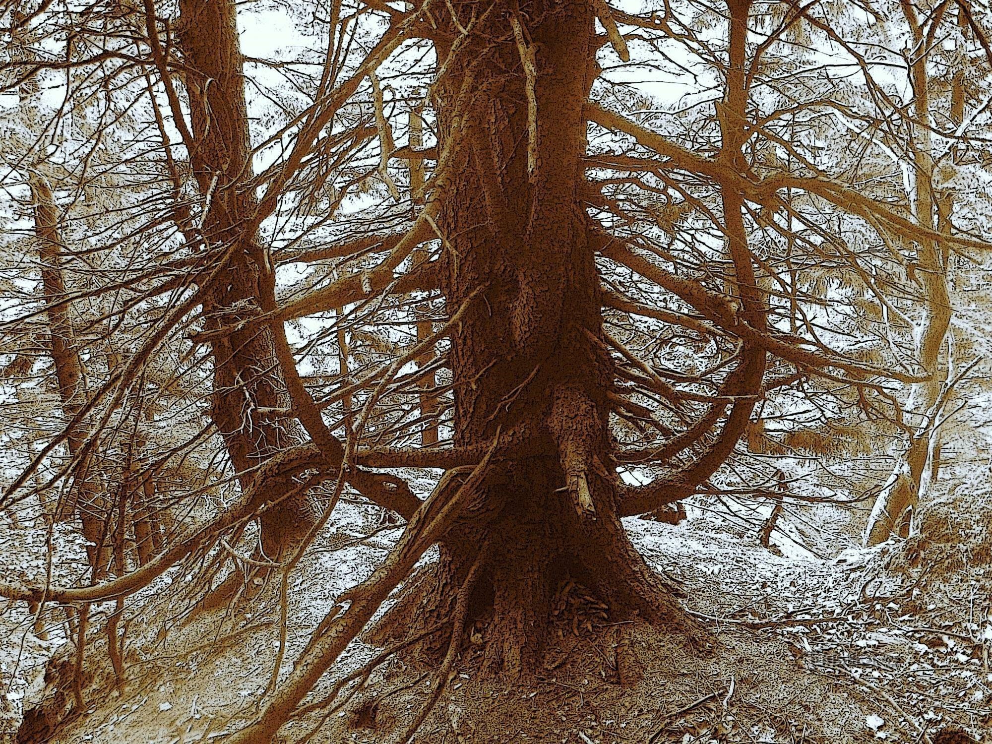 Belvedere de stâncă Jesenice - 3. Zidul Diavolului