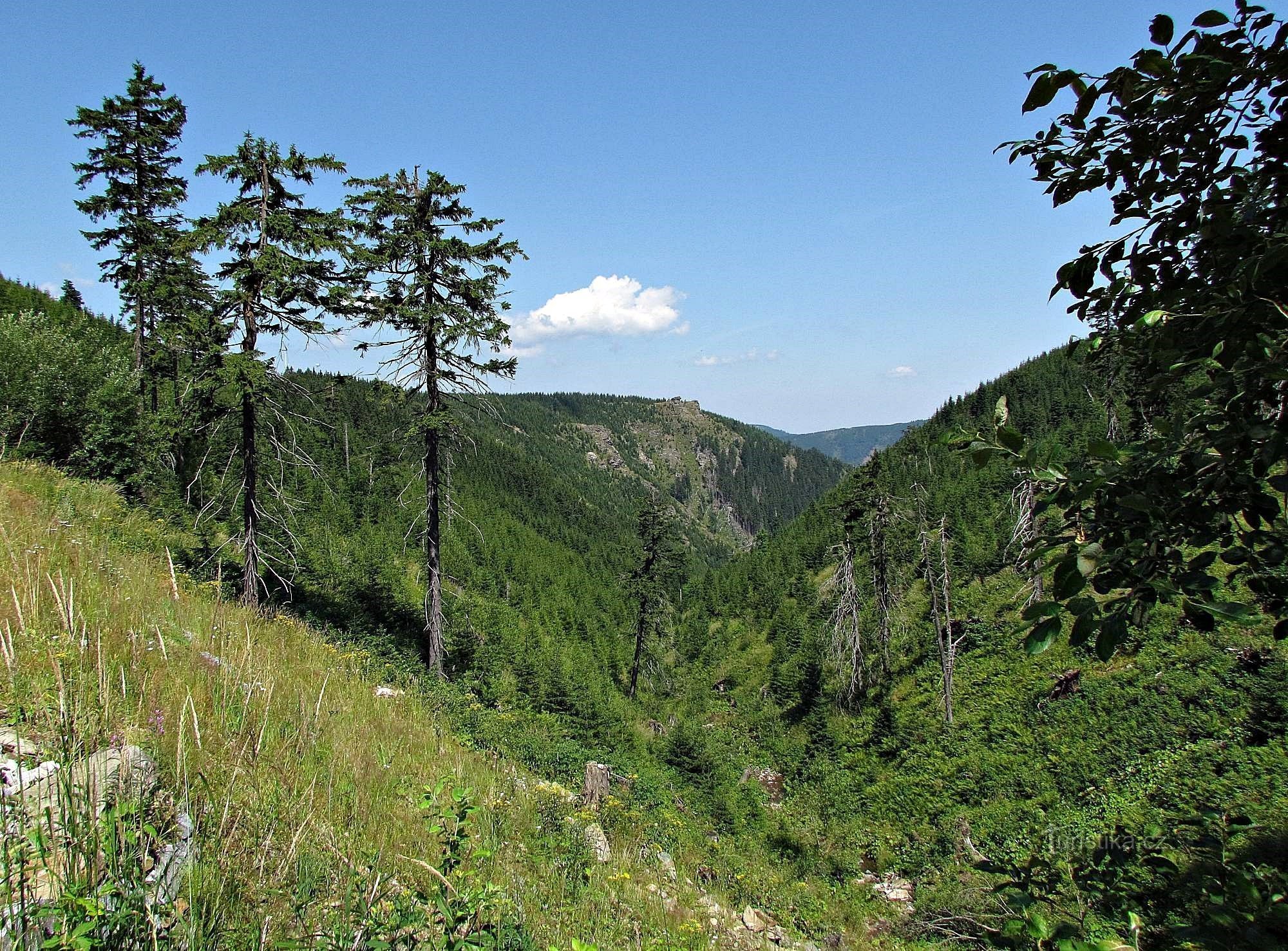 Jesenice rock-näköalapaikat - 6. Medvědí hora