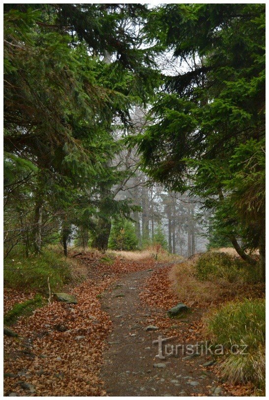 Jesenice ridge