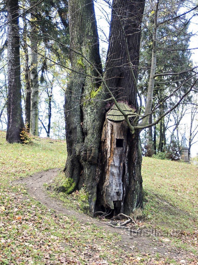 Jeseník – Linden på pelargången