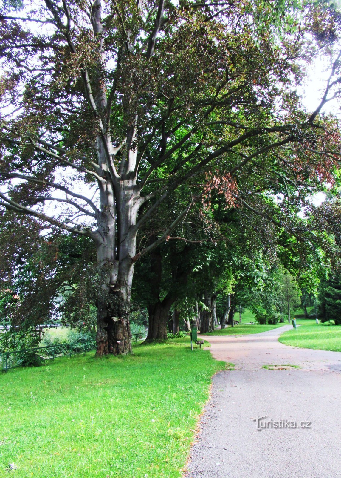 Jeseník - stadspark Smetanovy sady