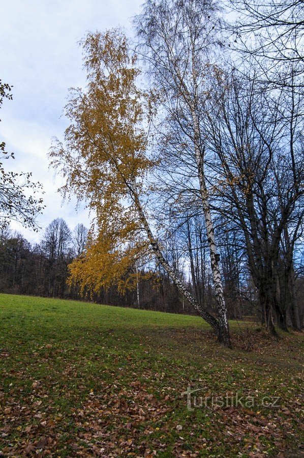 Jeseník - Glazbenička staza