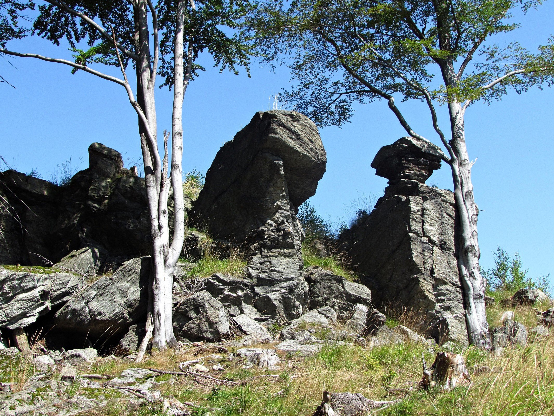 HERBST 2013 - Hinter den Kaskaden von Studený potok und Felsen auf Vížka