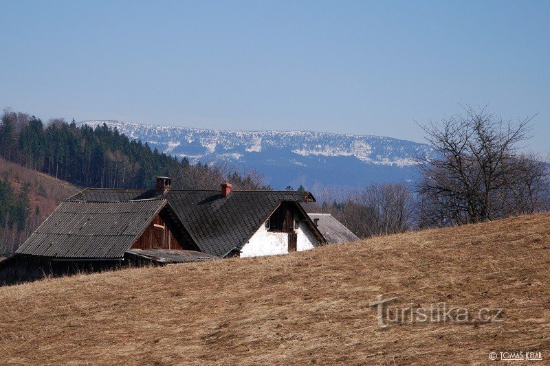 munți