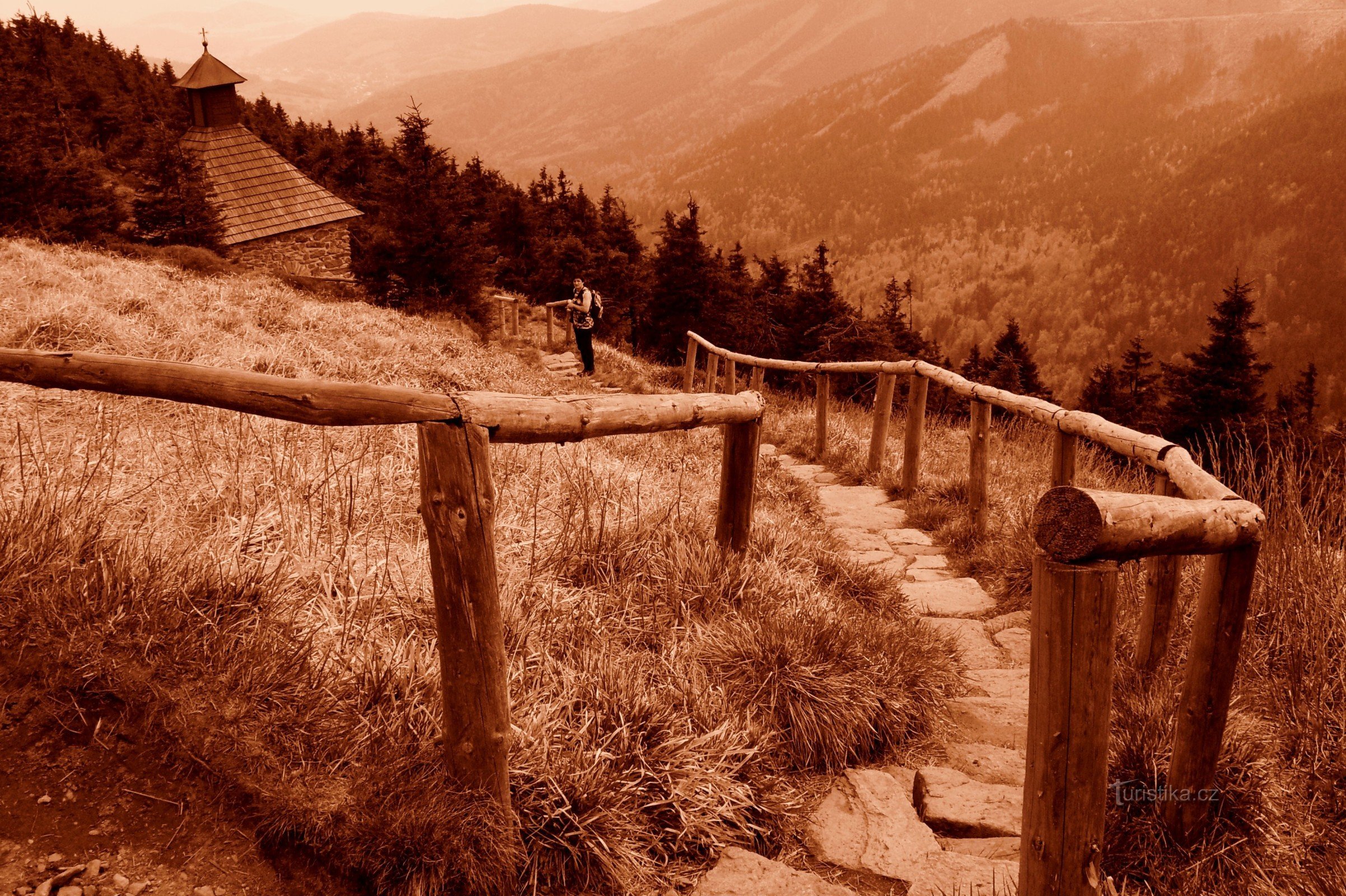Jeseniške gore - sprehod po Červenohorskem sedlu