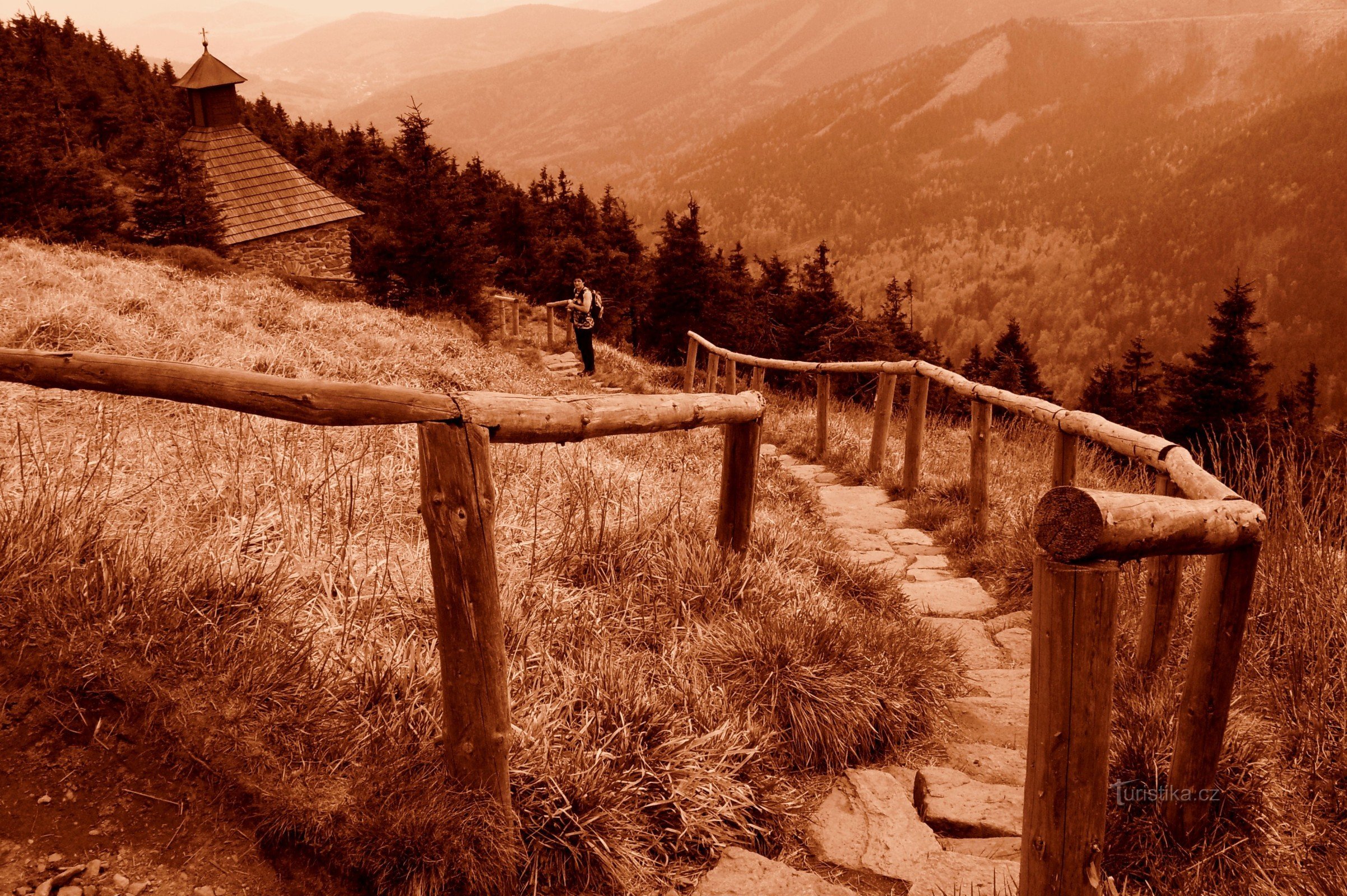 Jeseníky Mountains - a walk through the Červenohorské sedlo