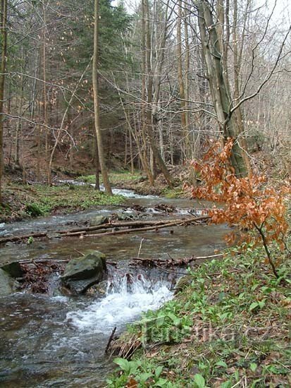 Arroyo de otoño