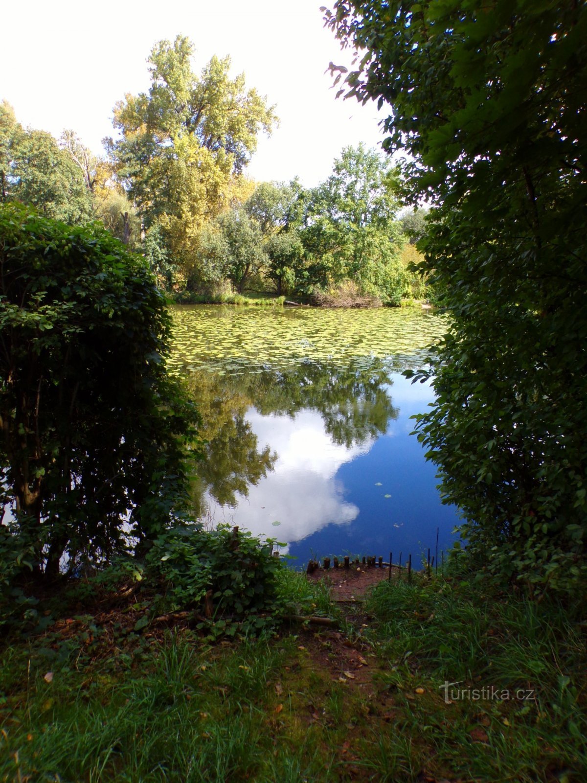 Třebše近くのJesípek (Hradec Králové, 10.9.2022)