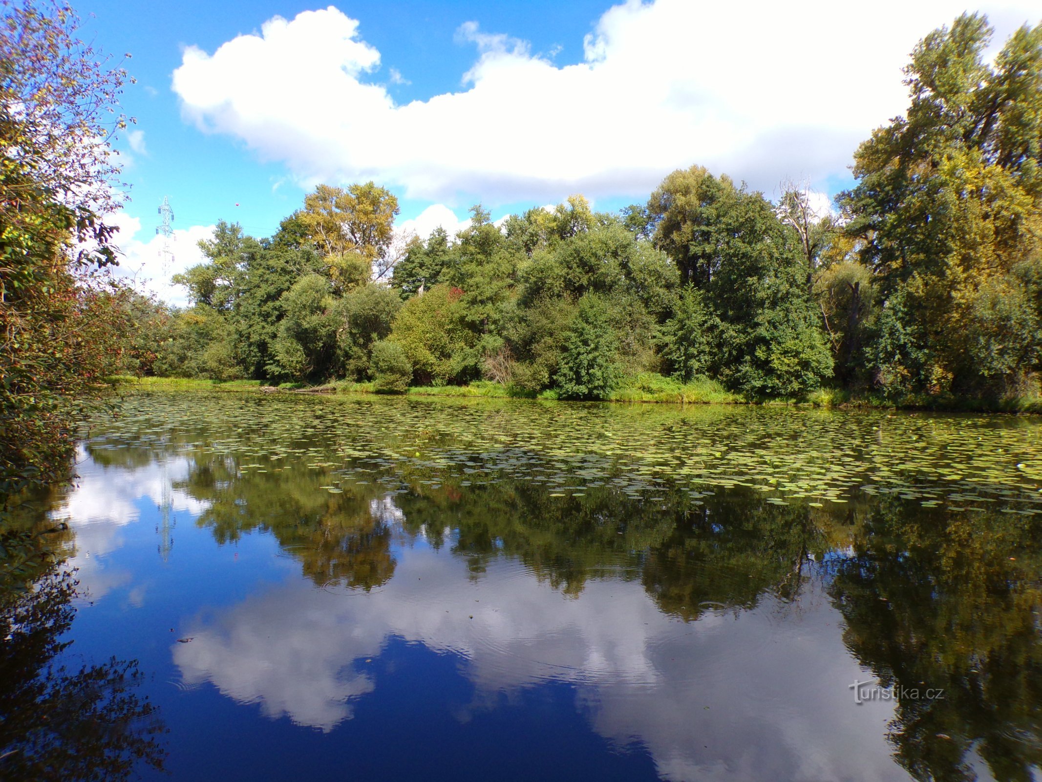 Třebše近くのJesípek (Hradec Králové, 10.9.2022)