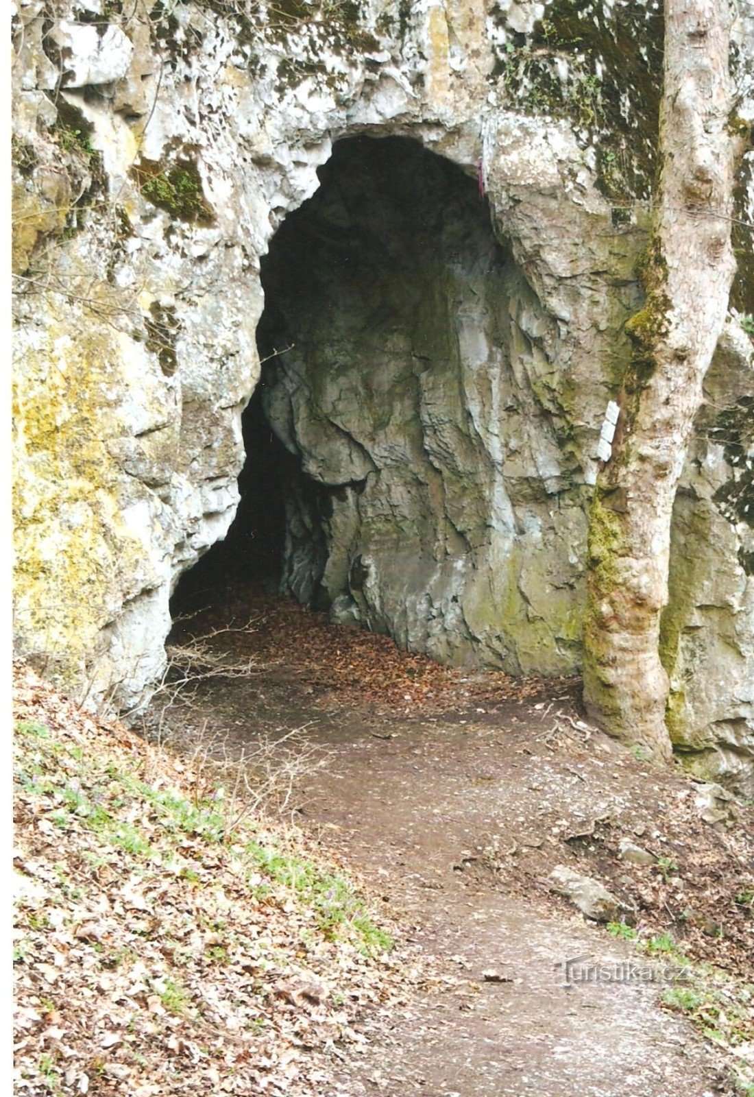 Kostelík-Höhle
