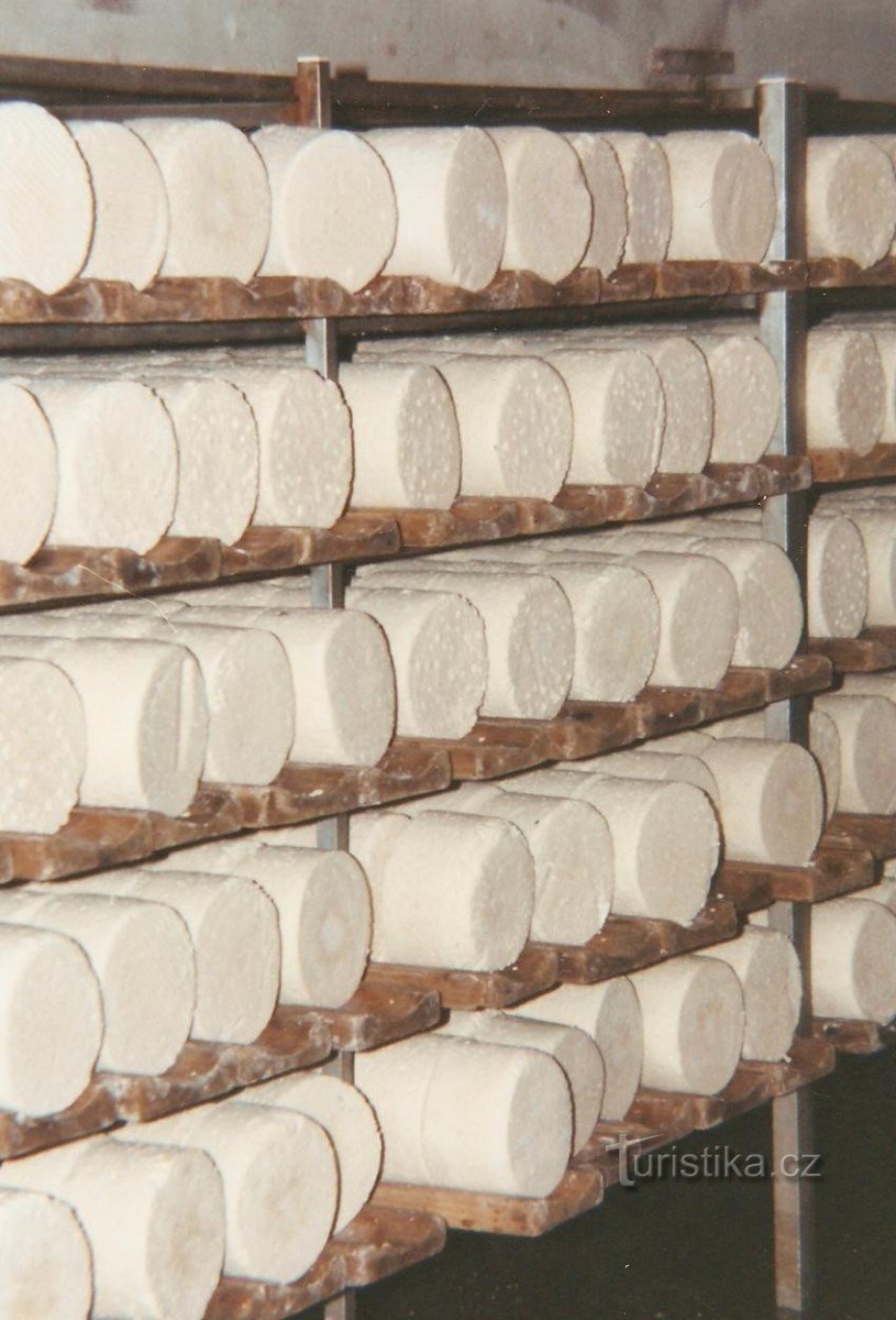 Michálka-barlang - a sajtok részlete, a kép 1999-ből való