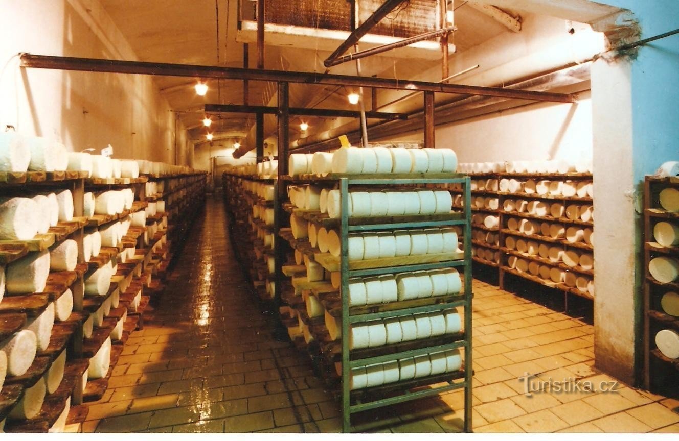 ミハルカ洞窟 - チーズを熟成させる部屋、写真は 1999 年のもの
