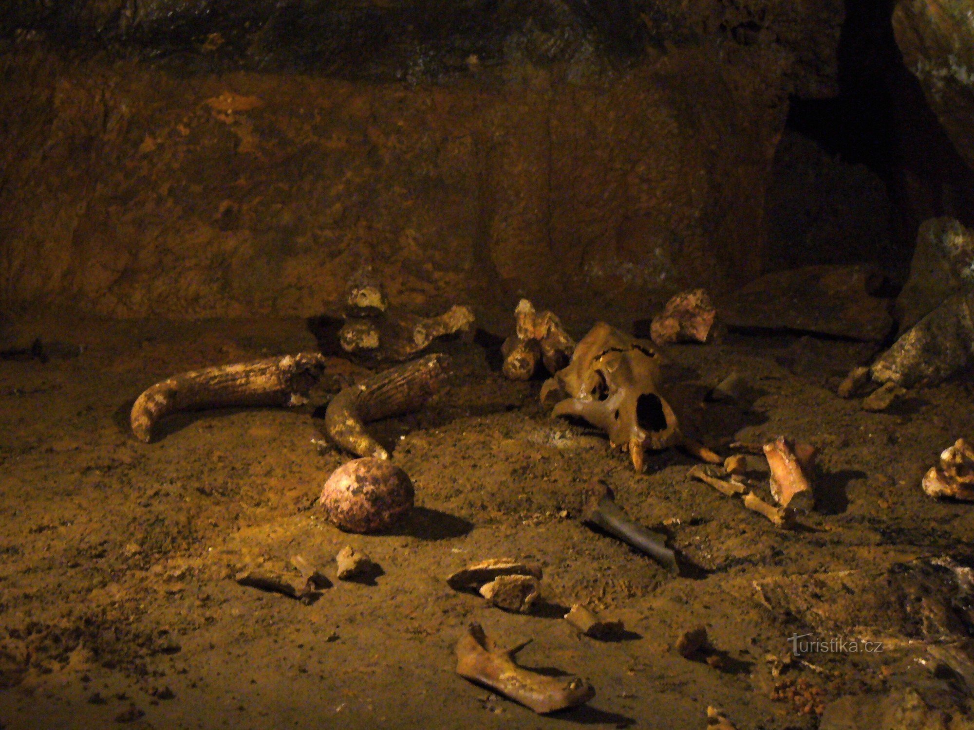 Olomoucin luolat - Mladečské jeskyně