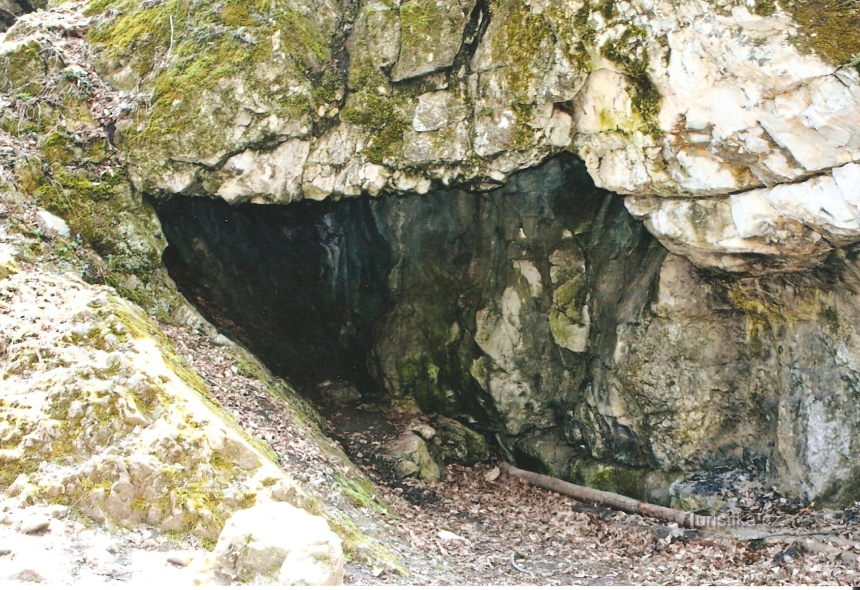 コウモリの洞窟