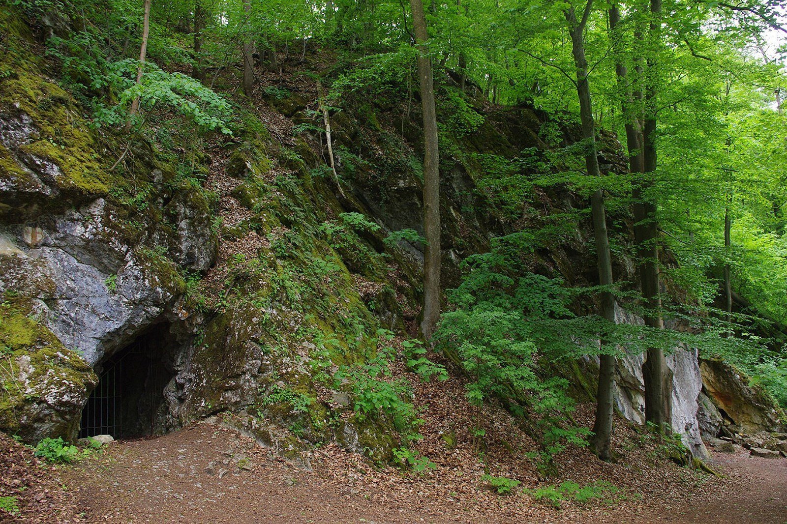 Horseshoe Cave