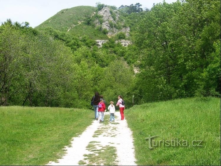 Grotte de Turold : Sentier didactique vers la grotte de Turold