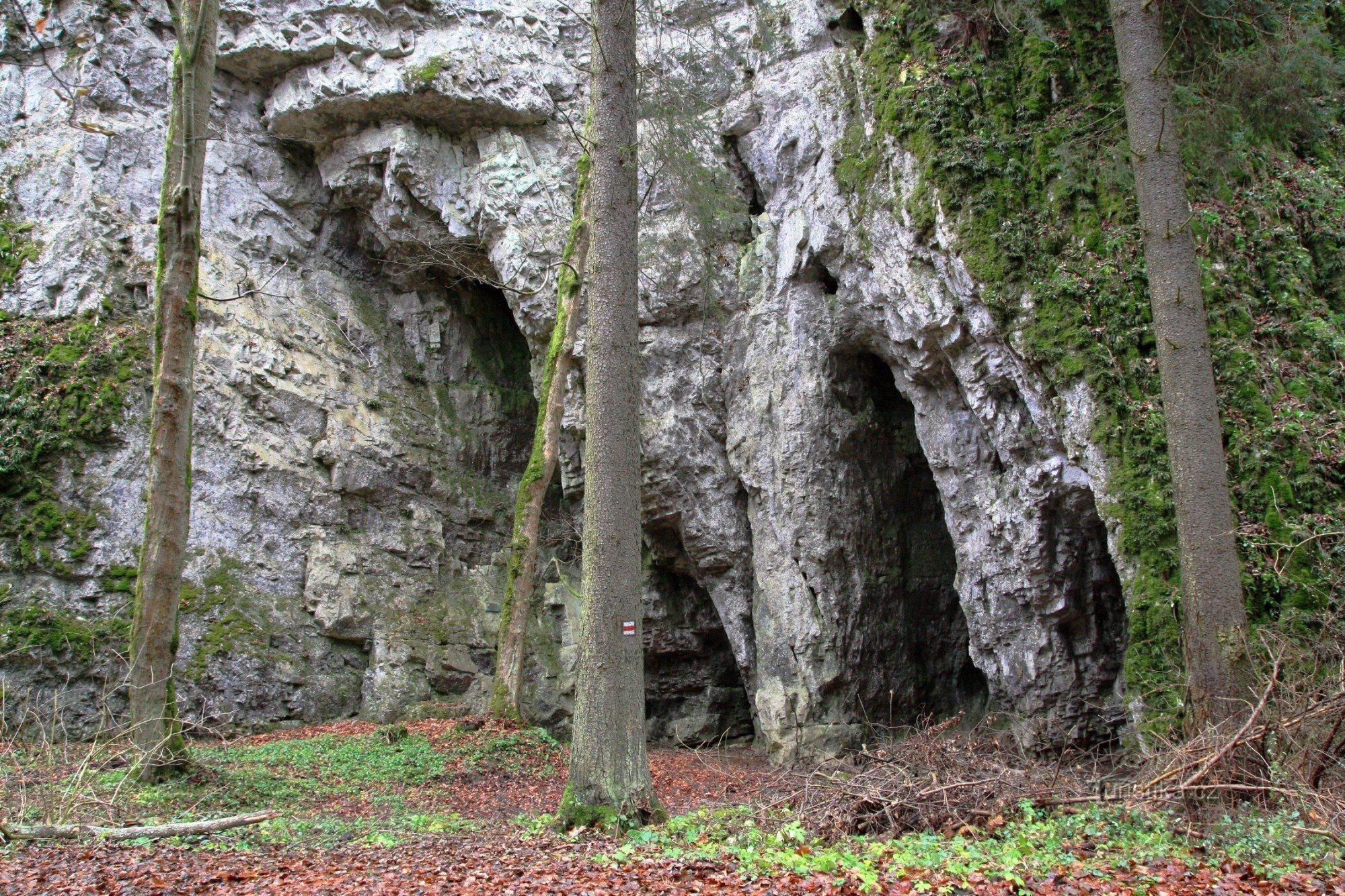 U-Jeda-Höhle