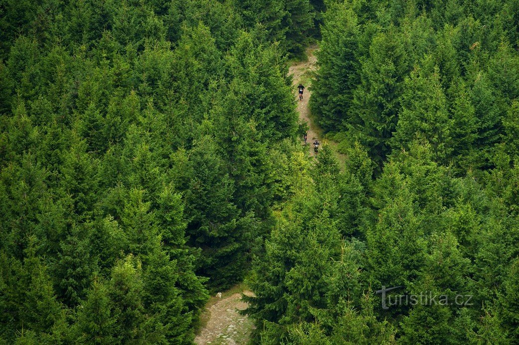 Ještěd Sky (meia) maratona também tem uma pista para corredores amadores