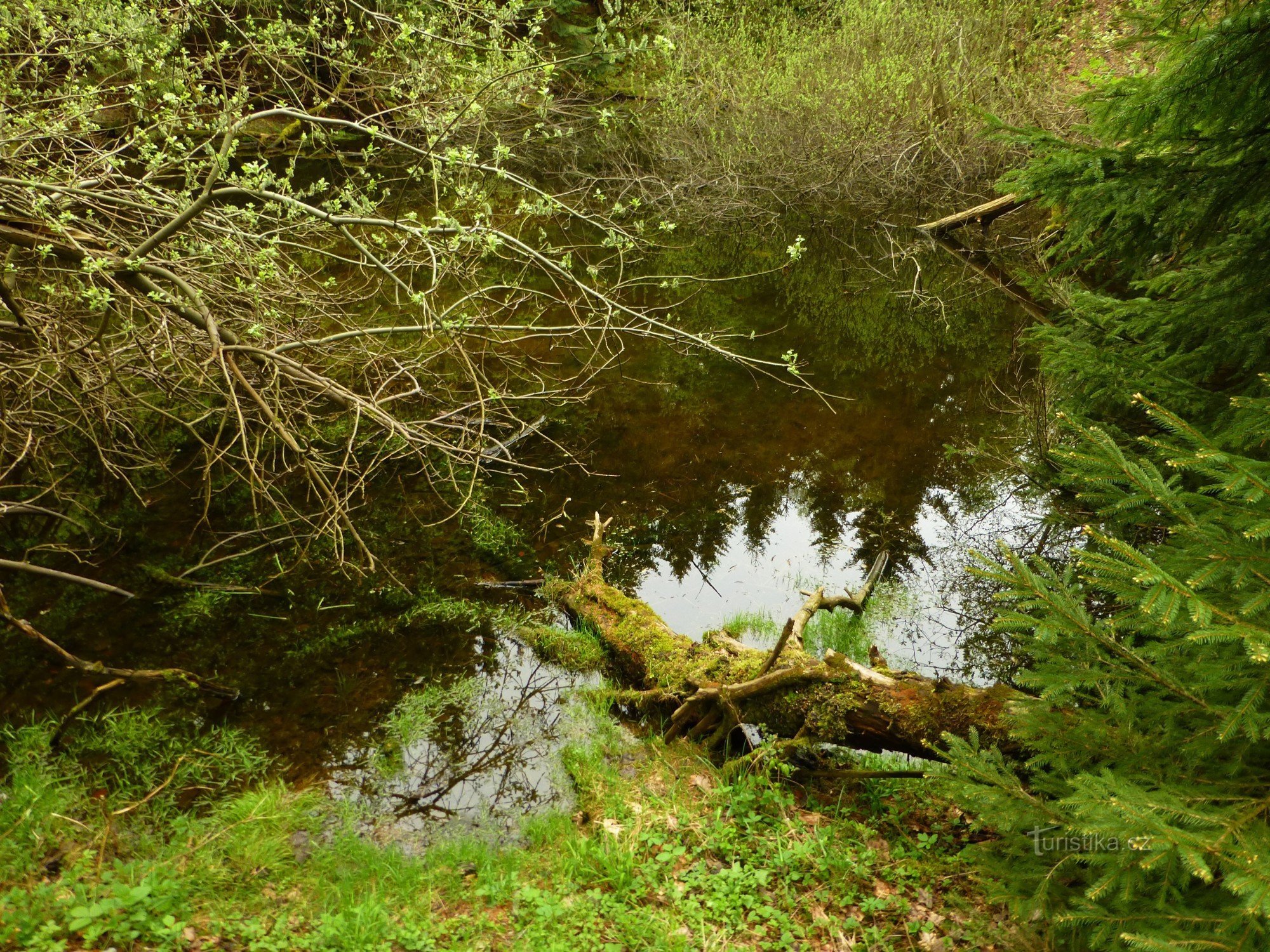 Ještěd lake