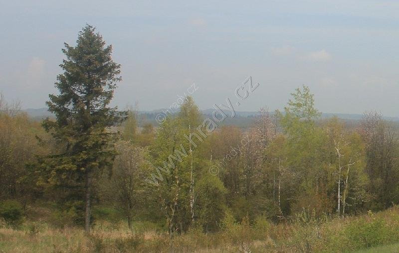 Jestřabí (Habicht)