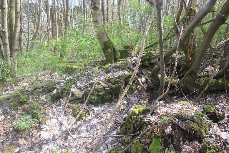 Jestřabí (Habicht, zaniklá ves)